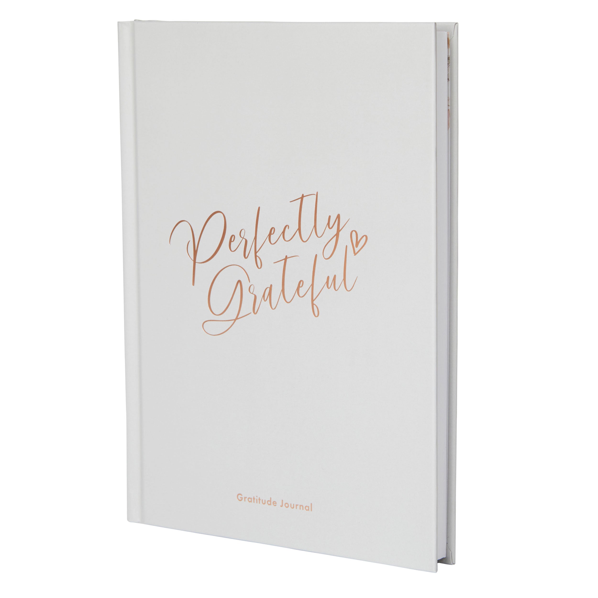 Gratitude Book - Dove Grey image 0