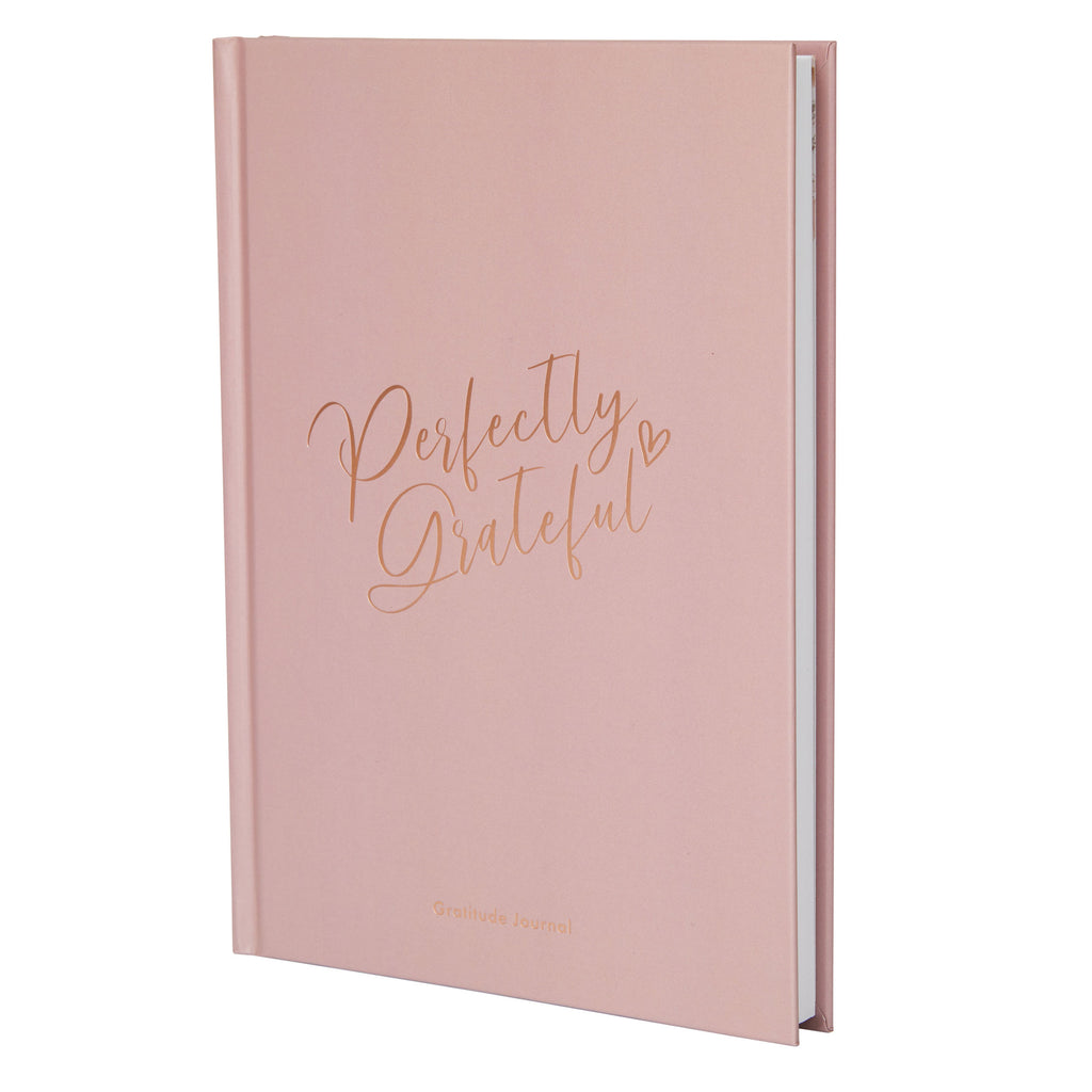 Gratitude Book - Dusky Pink image 0