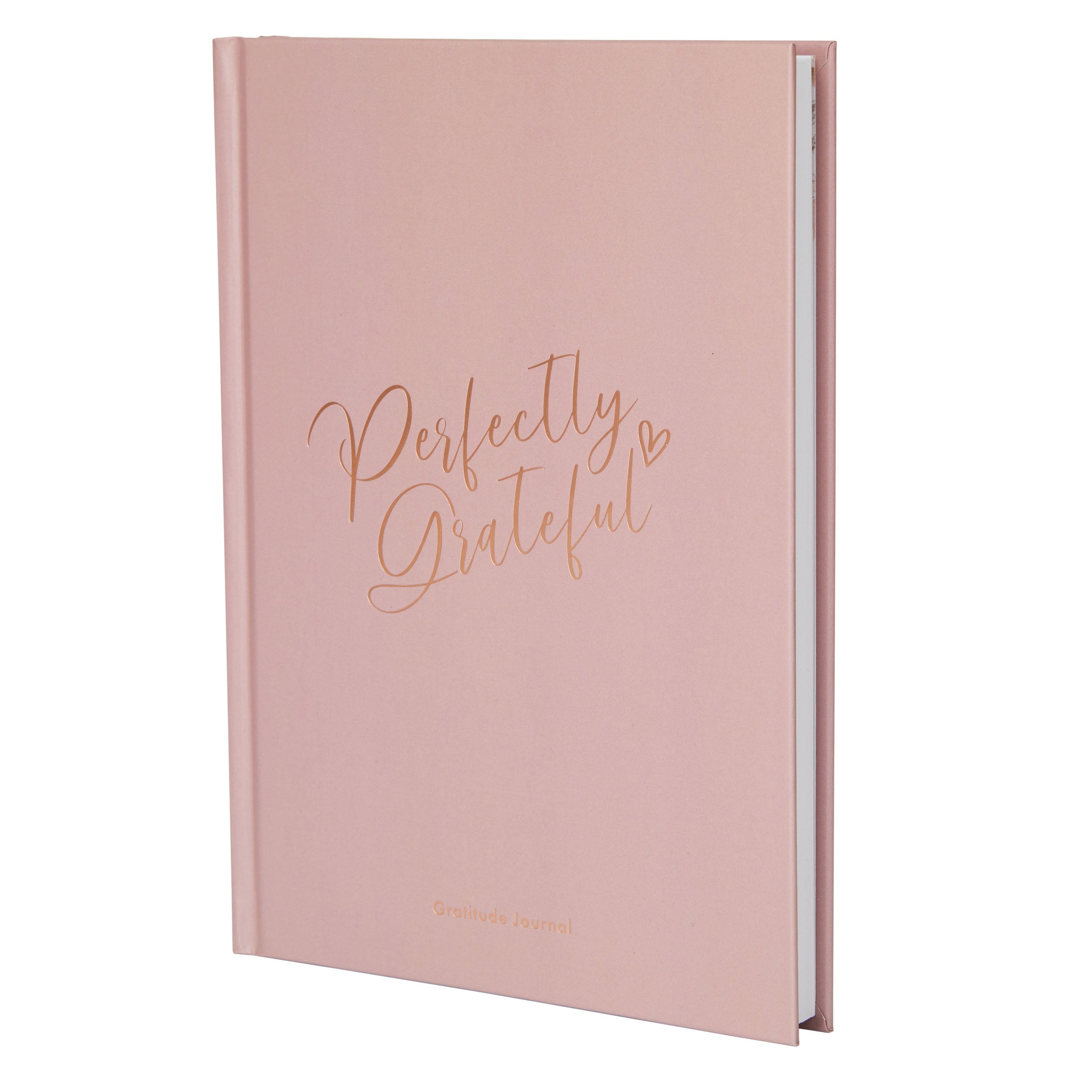 Gratitude Book - Dusky Pink image 0