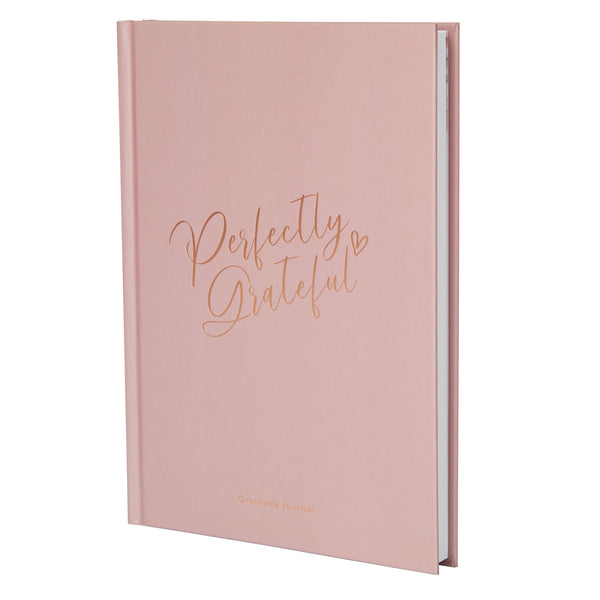 Gratitude Book - Dusky Pink image 0