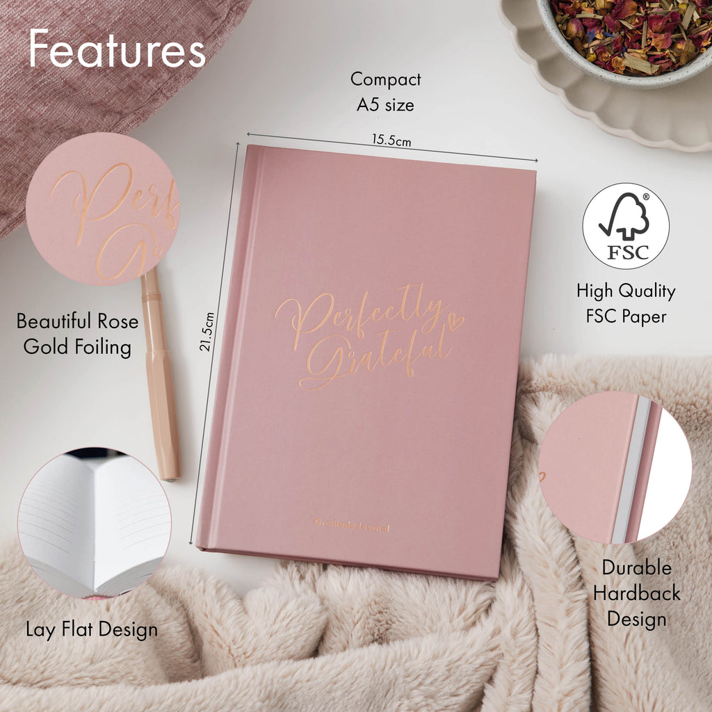 Gratitude Book - Dusky Pink image 1