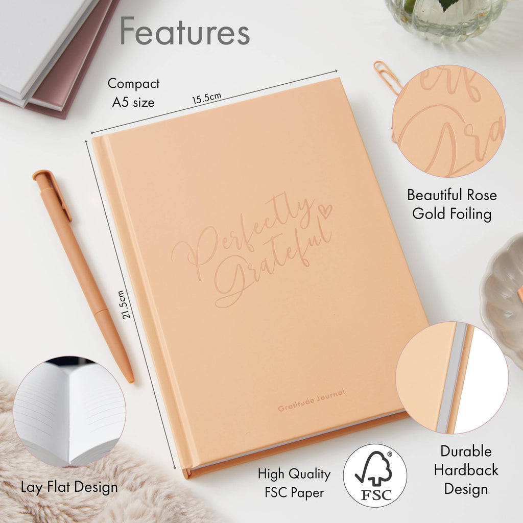 Gratitude Book - Peach Blush image 1