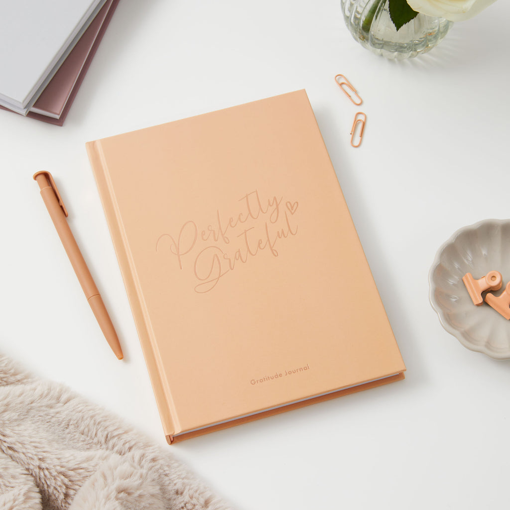 Gratitude Book - Peach Blush image 6